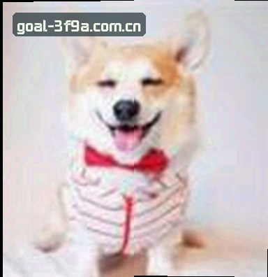 周杰